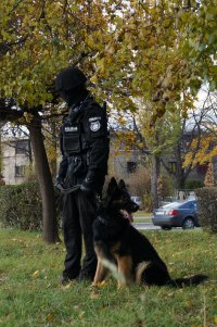 Policjant z psem służbowym stoi w parku.